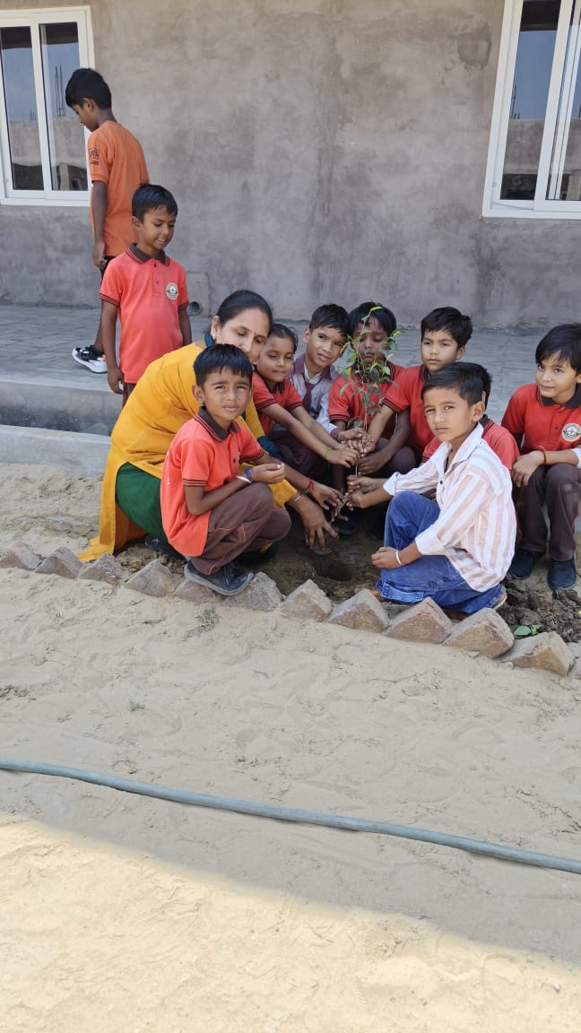 PLANTATION IN THE SCHOOL PREMISES - Image 6